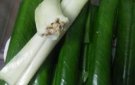 Bánh lá răng bừa dẻo thơm - Đặc sản xứ Thanh